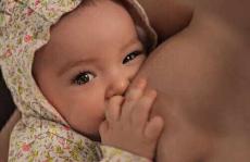 利用色谱法预防婴儿维生素D缺乏症